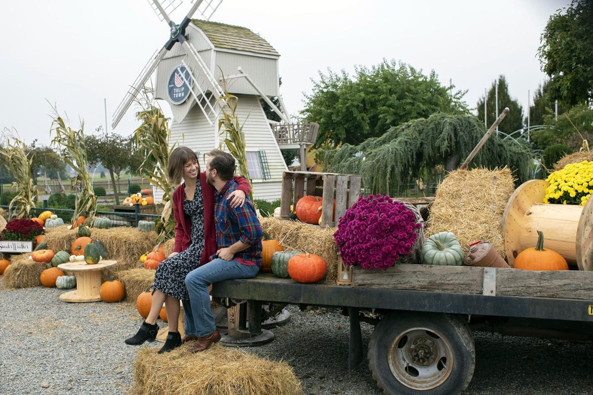 Tulip Town Farm, Mount Vernon - Washington State Tourism/Mark Downey/Lucid Images Gallery