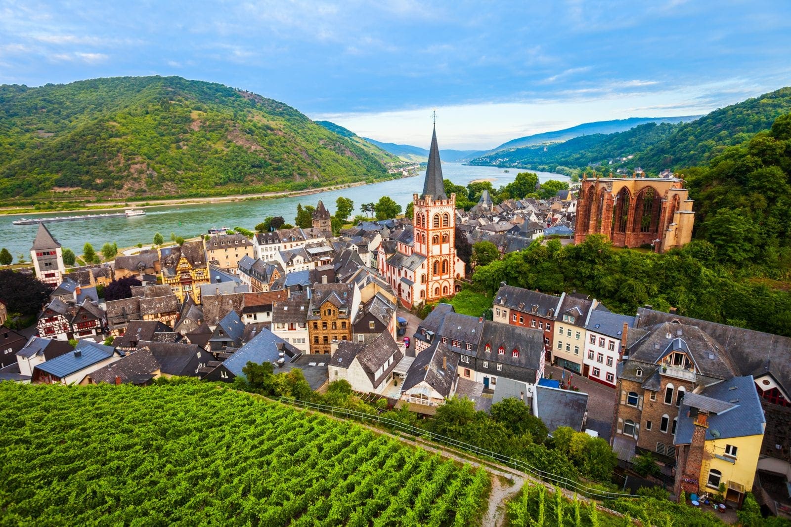 Rhine River Cruises