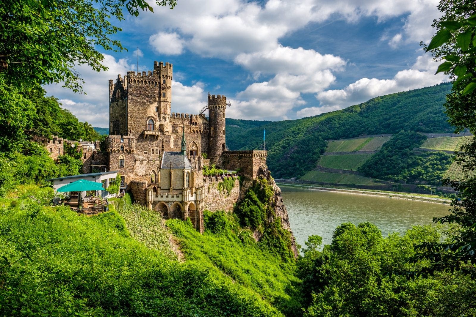 Rhine River Cruises