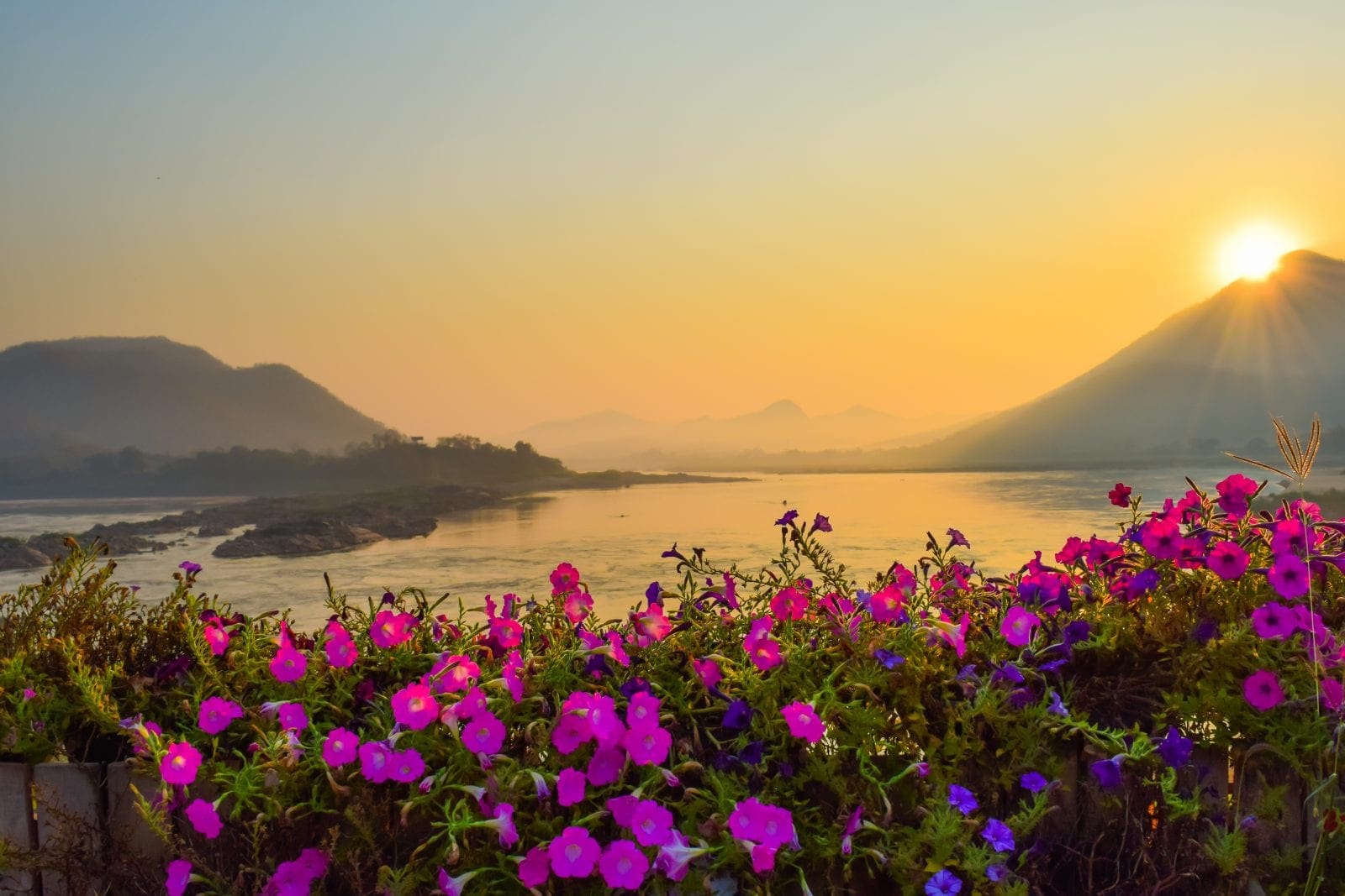 Mekong River Cruises