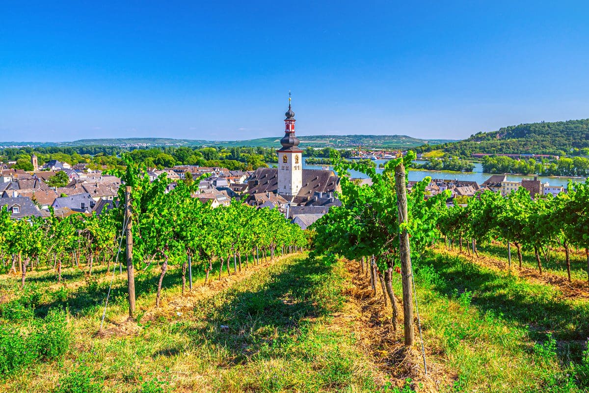Rudesheim wine region, on the Rhine in Germany
