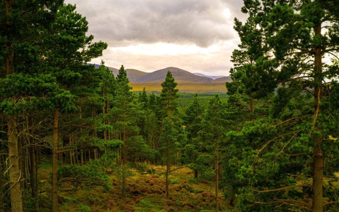 Cairngorms National Park