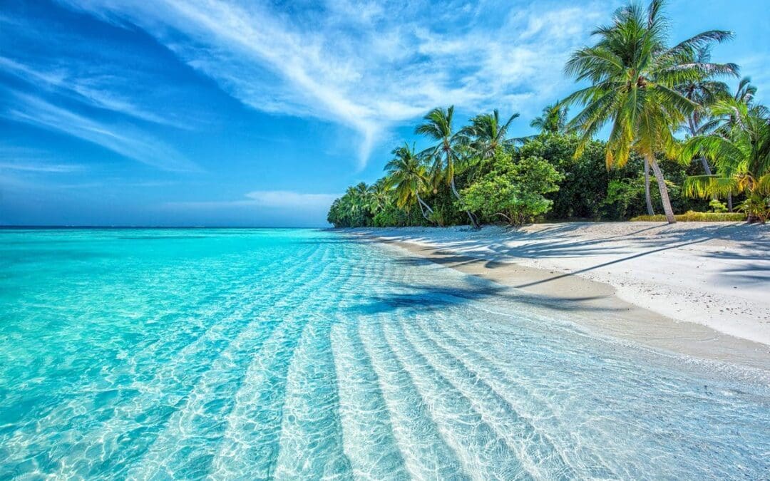 Abu Dhabi & Maldives