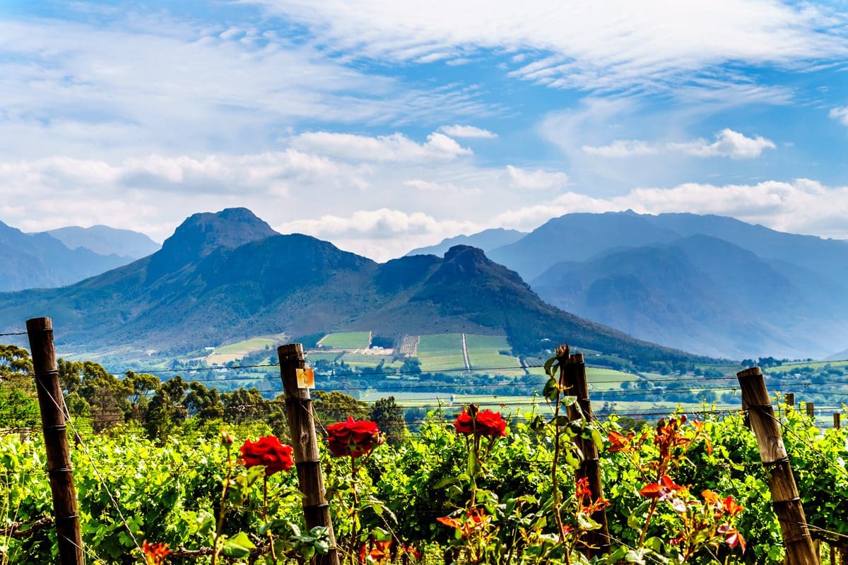 Franschhoek Valley in the Cape Winelands