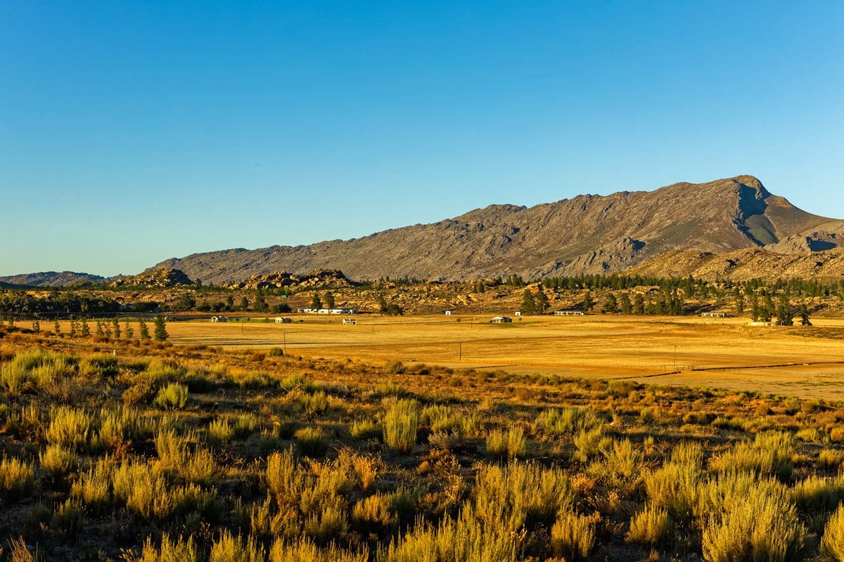 Morning view of the Koue Bokkeveld landscape