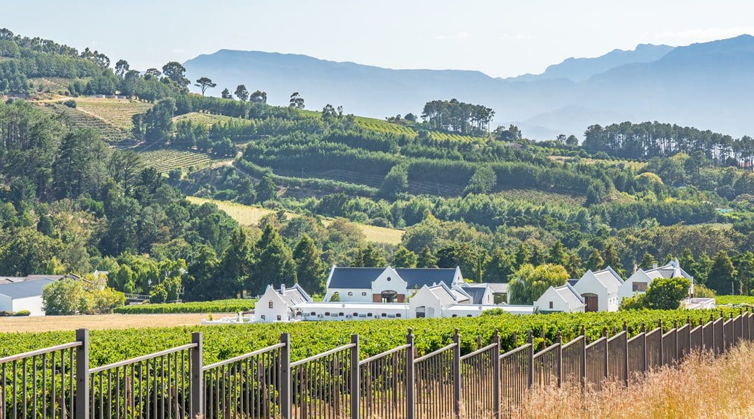 Cape Winelands
