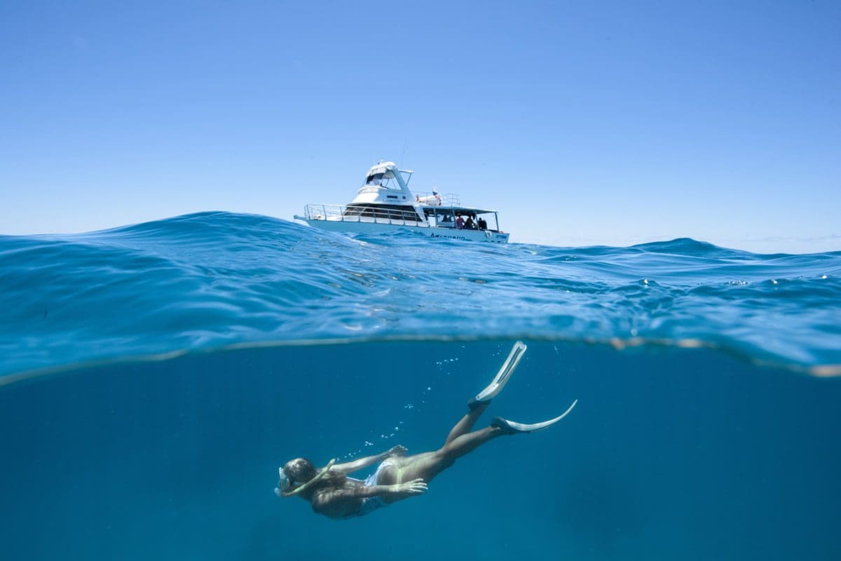 Adrenalin dive, Snorkey Lodestone Reef, Great Barrier Reef - Townsville Enterprise Ltd