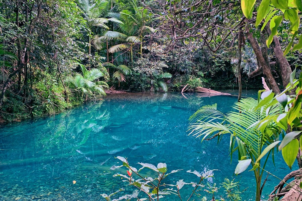 Blue Hole Pools in Cooper Creek, Daintree