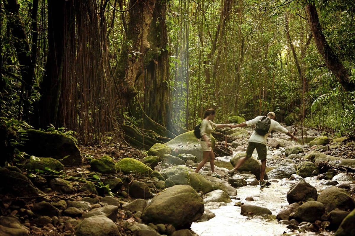 Couple on a rainforest hike - St Kitts Tourism