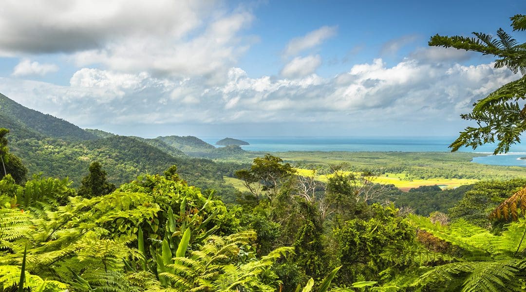Tropical North Queensland