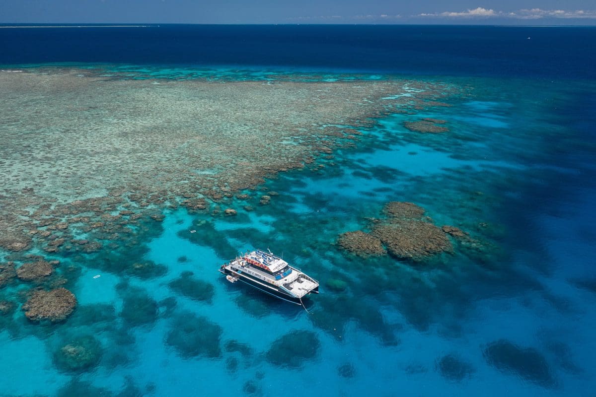 Dreamtime Dive & Snorkel, Great Barrier Reef - Tourism & Events Queensland