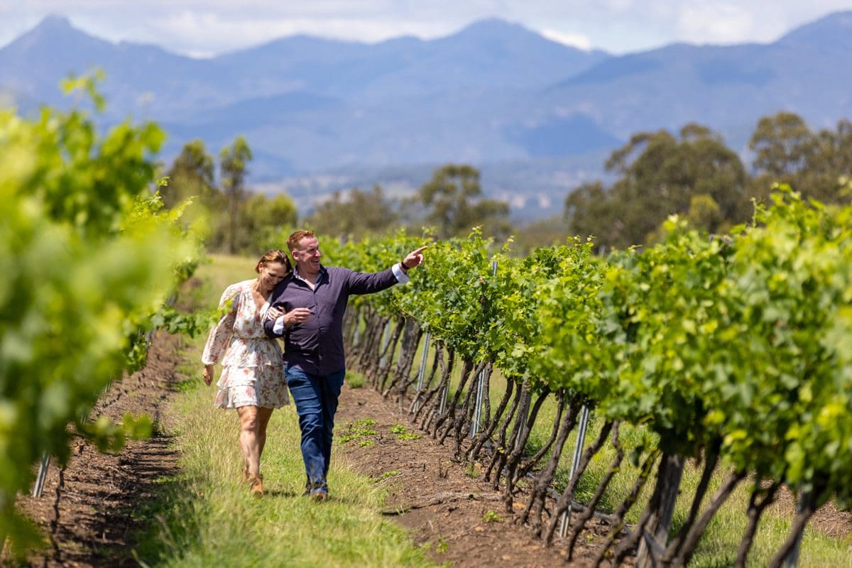 Eco Safaris farm tour, Queensland - Tourism Australia