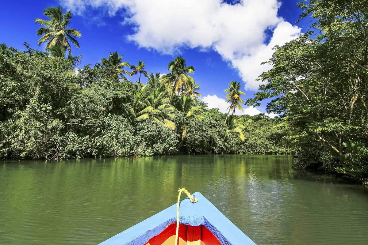 Exploring Jungle Bay by boat in Dominica