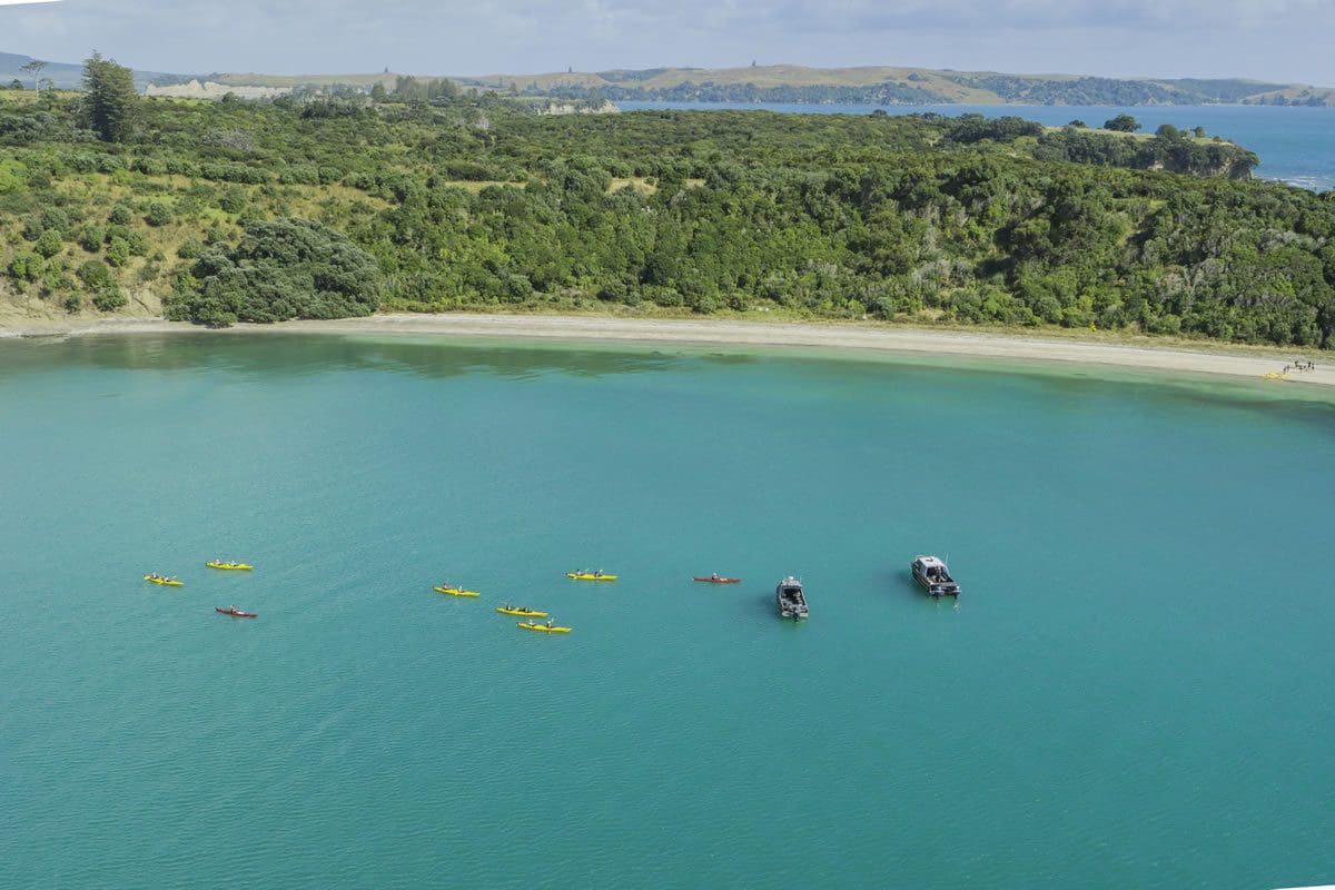 Motuihe Island, Bay of Islands