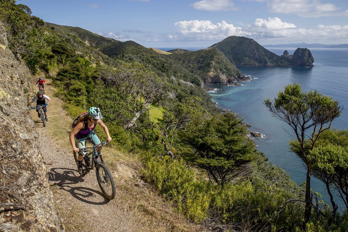 Mountain biking in Fletcher Bay, Coromandel