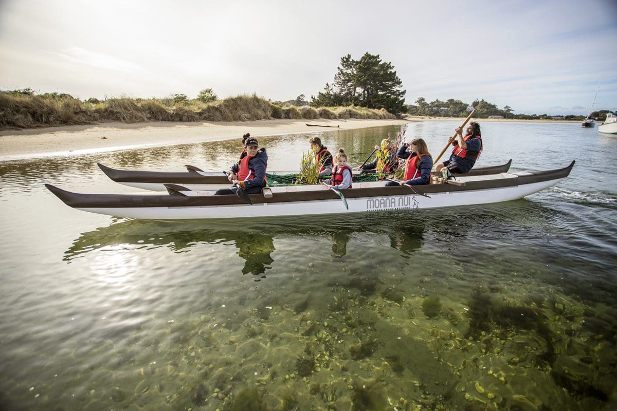 Paddle boating in Dunedin