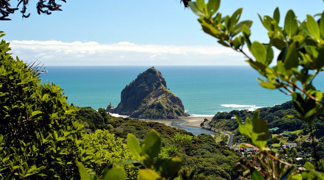 Auckland & Bay of Islands