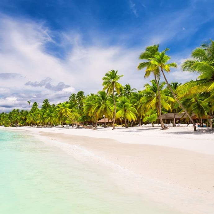 Punta Cana palm-fringed beach, Dominican Republic