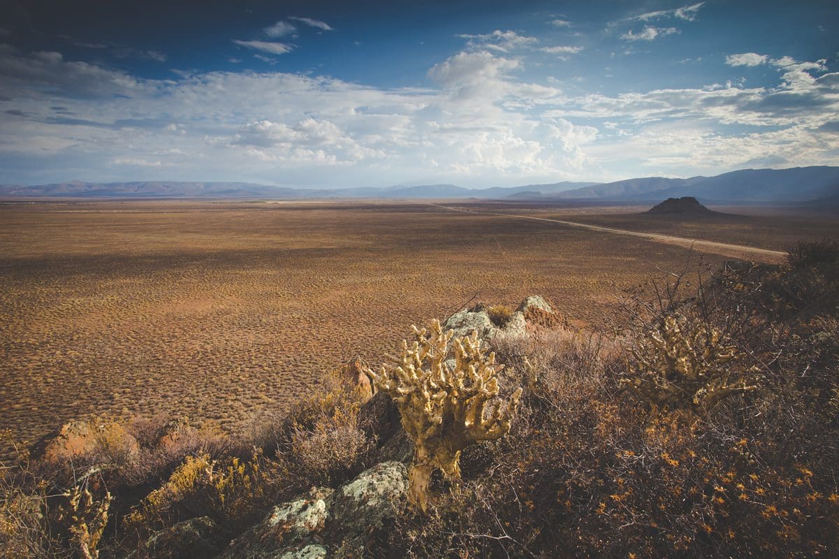 Tankwa Karoo Desert
