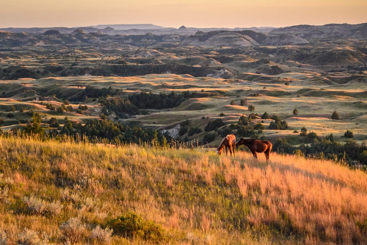 Theodore Roosevelt National Park, North Dakota