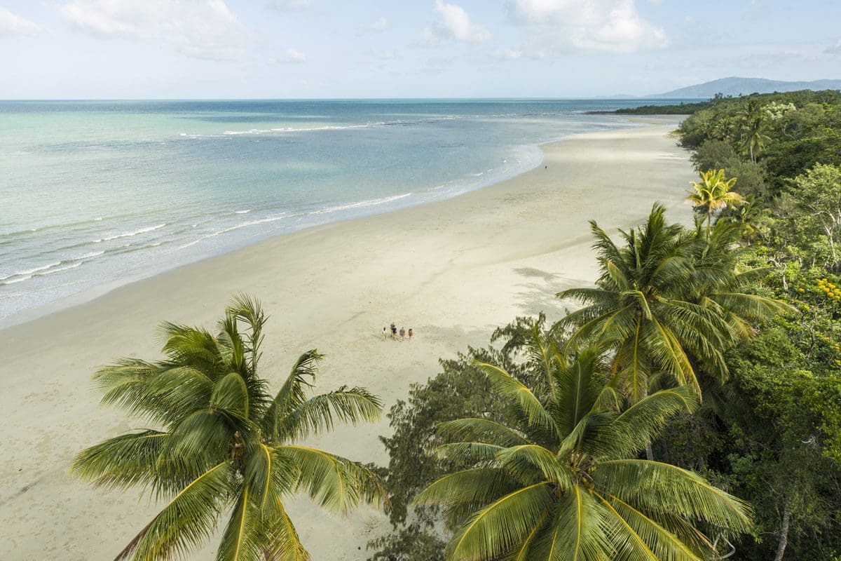 Walking along Myall Beach, Daintree National Park - Tourism Australia