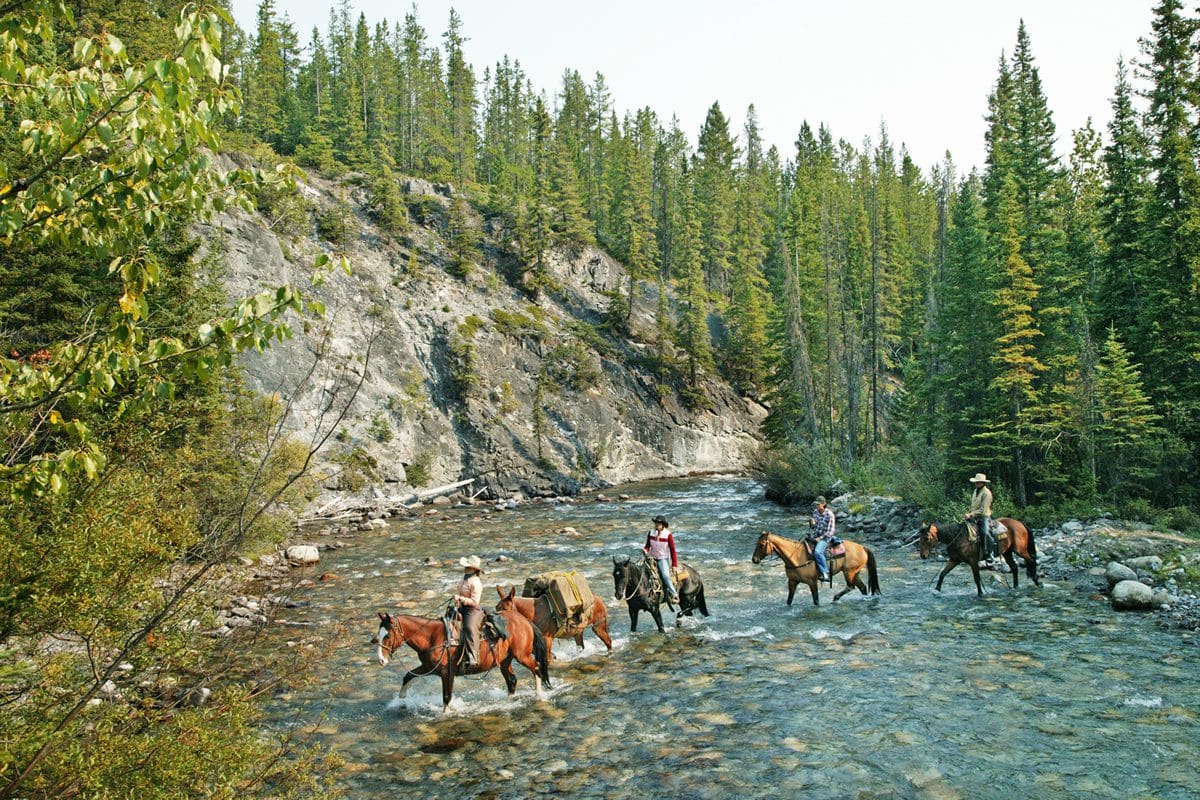 Bow River horseback adventure - Discover Banff Tours/Travel Alberta