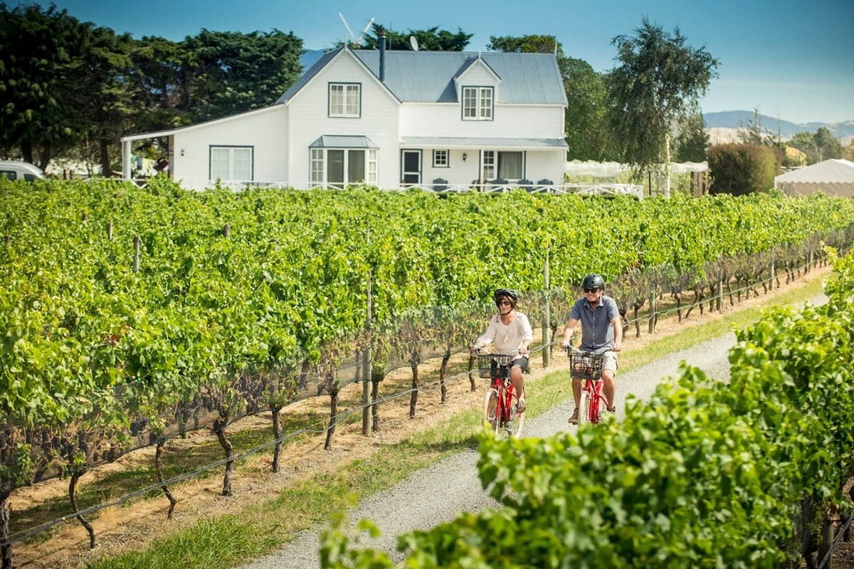 Couple biking through a vineyard in Martinborough - NZ Tourism/Mike Heydon - Jet Productions