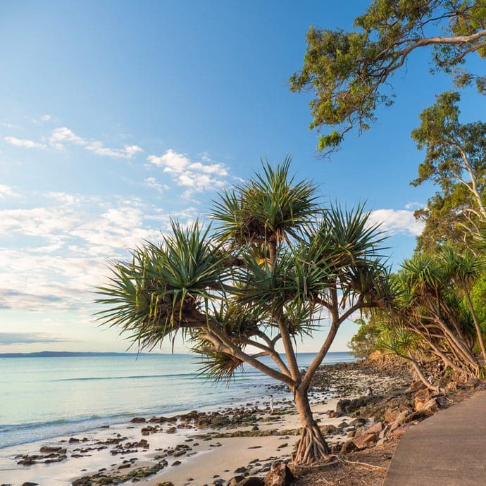 Cycle path along the Sunshine Coast - Tourism Australia