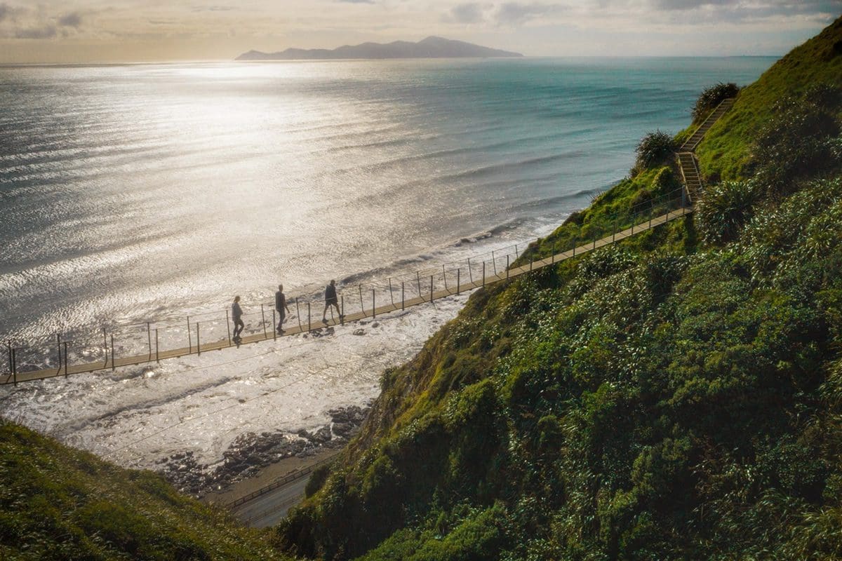 Escarpment track in Pukerua Bay, Paekakariki Kapiti Coast, Wellington - NZ Tourism/Johnny Hendrikus