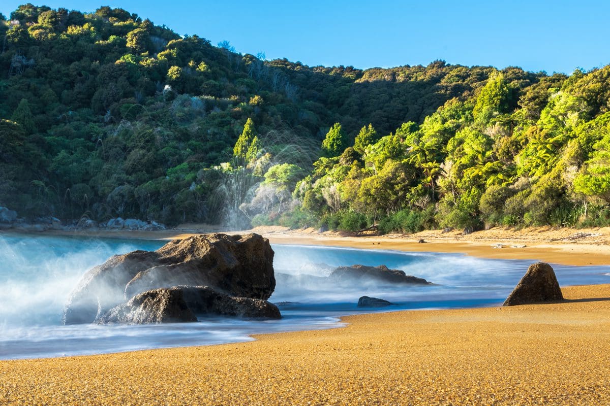 Golden sand bay of Abel Tasman National Park in New Zealand's South Island