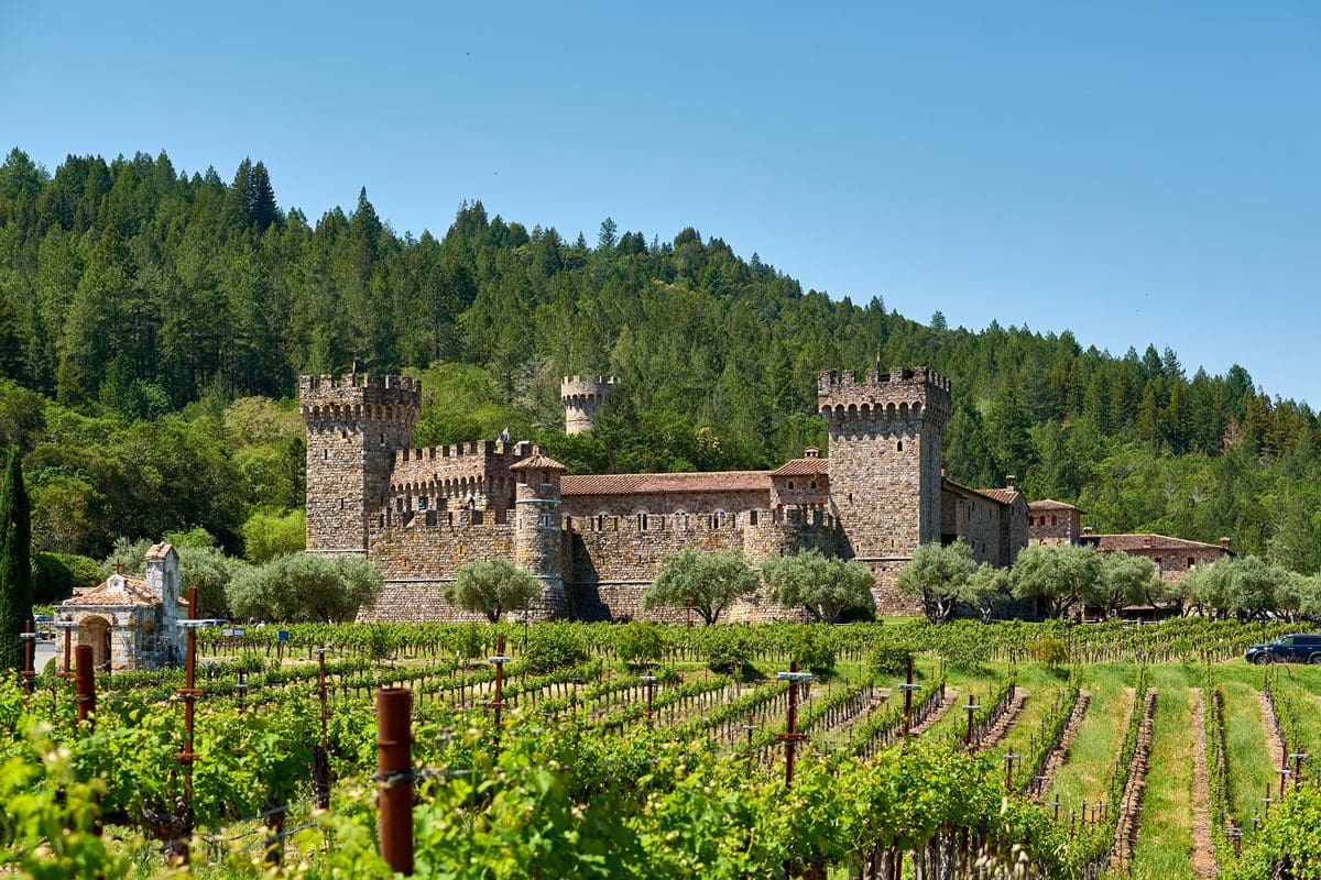 An impressive Napa Valley vineyard in California