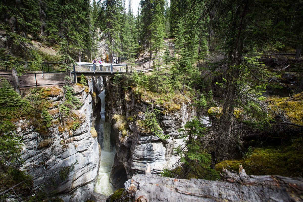 Maligne Canyon - Travel Alberta/Parks Canada/Ryan Bray
