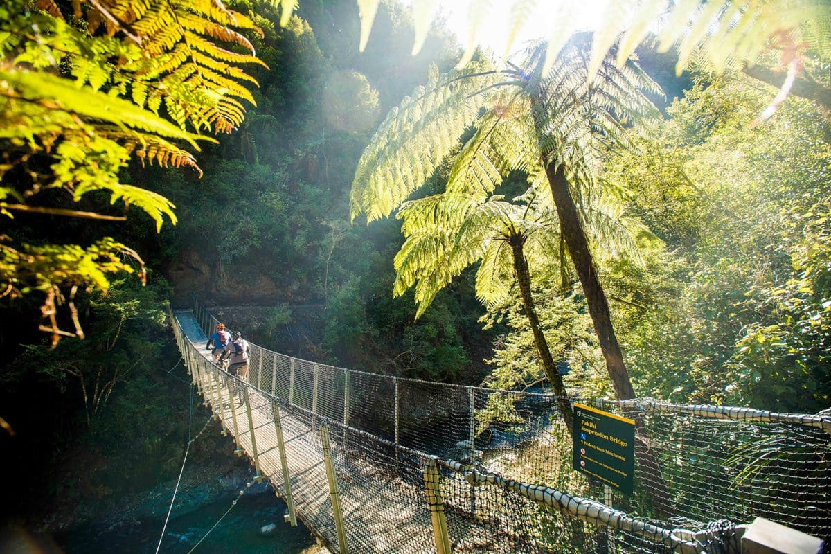 Motu Trails, Eastland - New Zealand Tourism/Strike Photography for Motu Trails Charitable Trust