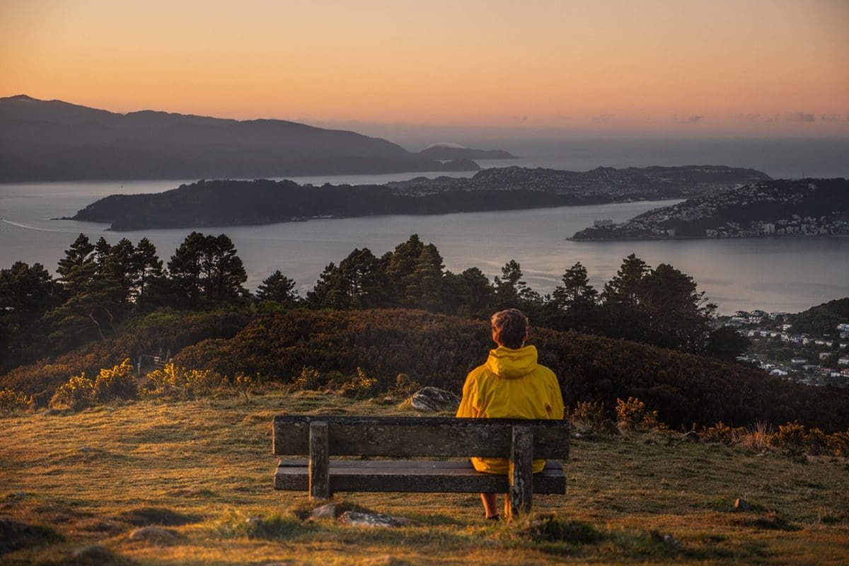 Person sitting on a bench, enjoying the sunrise view from the top of Mt Kaukau, Wellington - NZ Tourism/Johnny Hendrikus