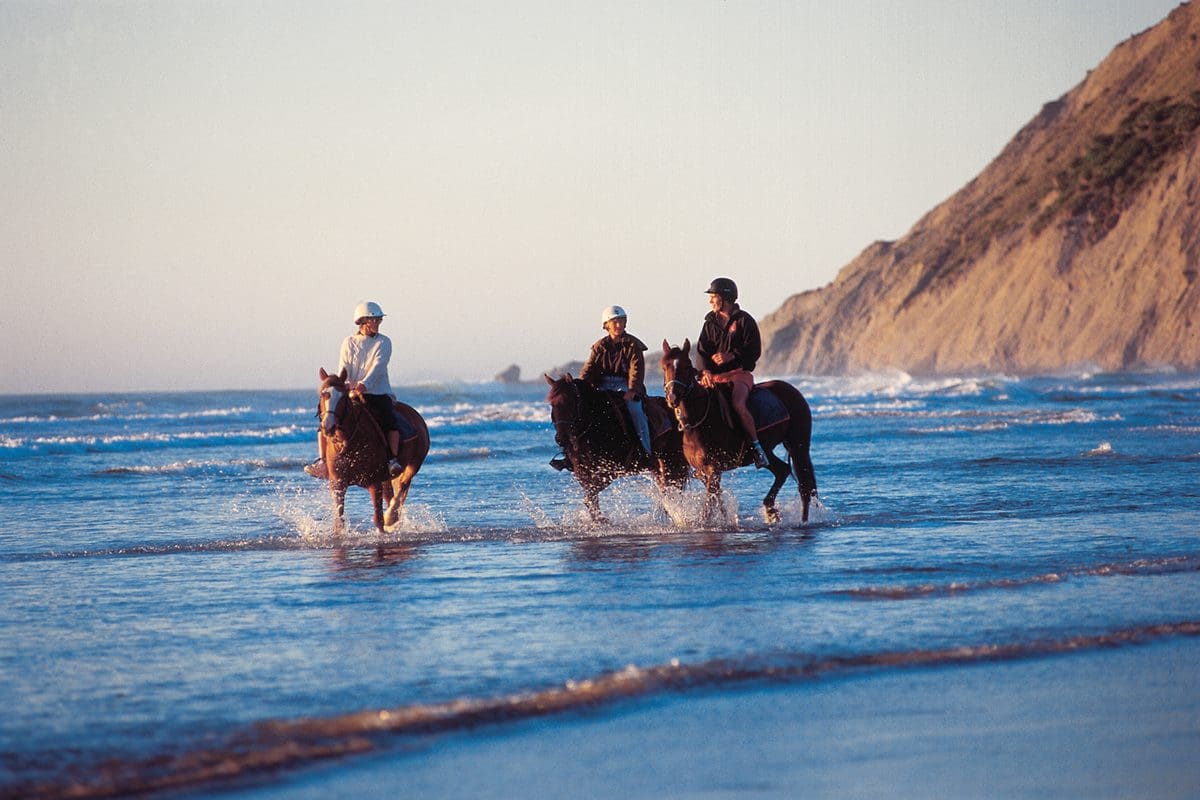 Porangahau horseback riding - Hawkes Bay Tourism