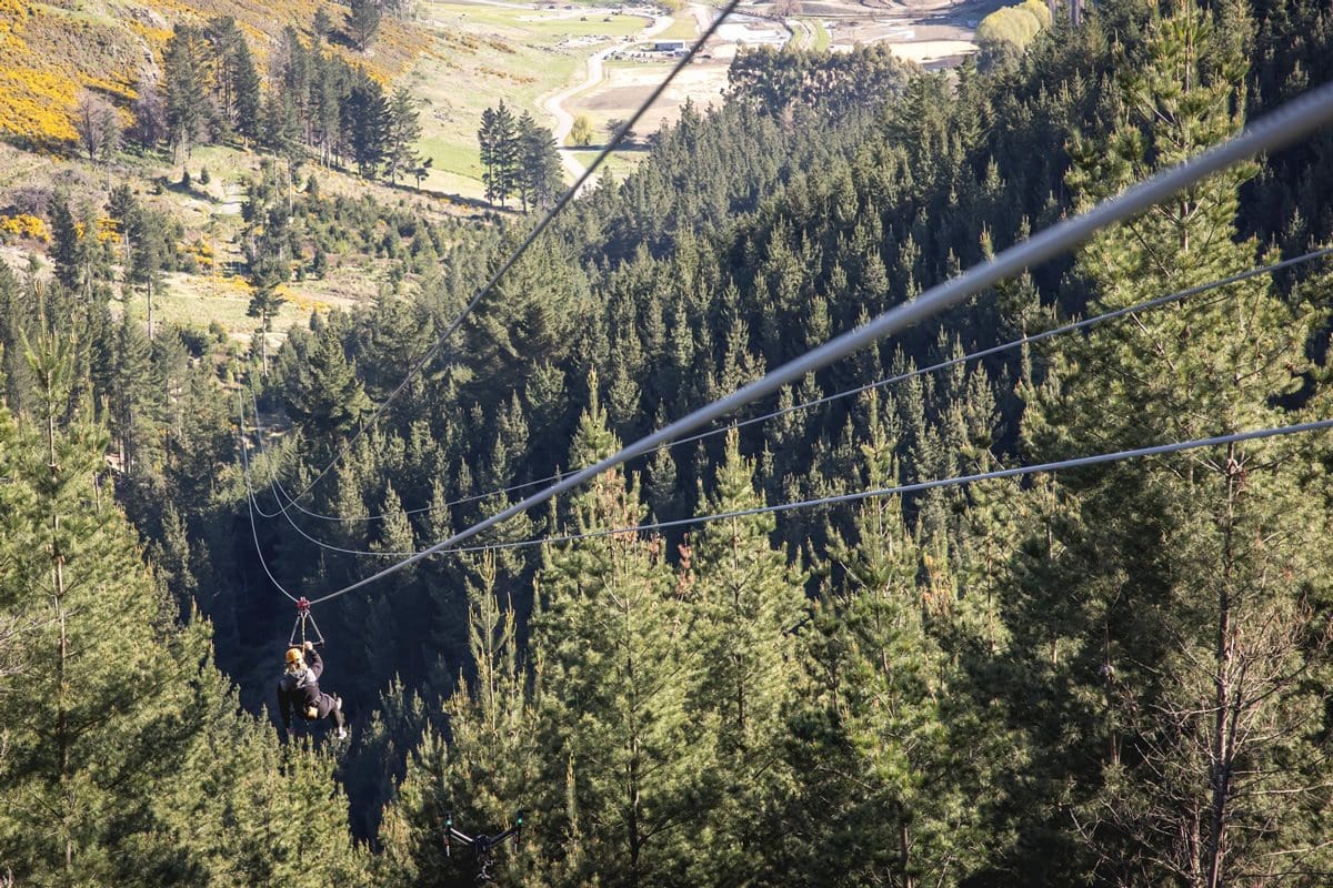 Port Hills zip-wire, Canterbury - South Island Tourism/Miles Holden