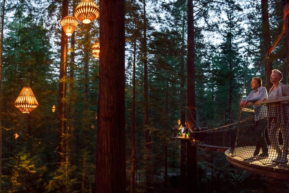 Redwoods treewalk, Rotorua - Destination Rotorua