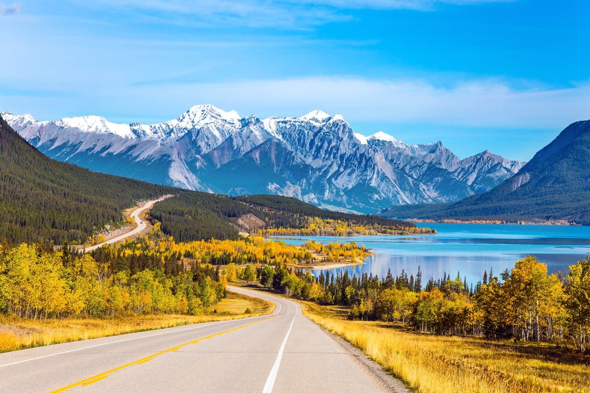 Road by Abraham Lake, Alberta