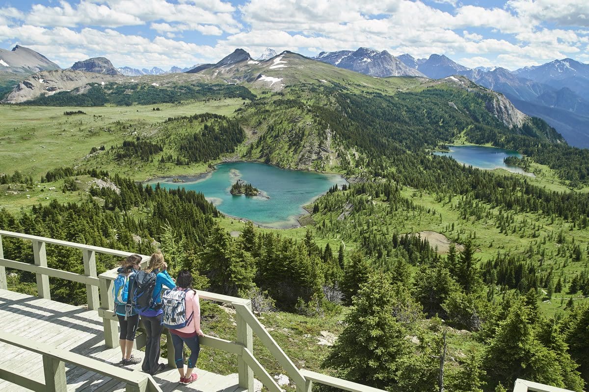 Sunshine meadows, Banff - Lake Louise Tourism/Dan Evans