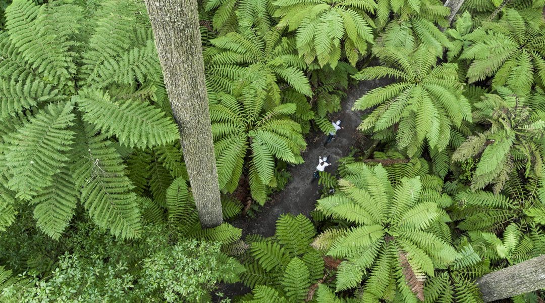 Rotorua & Bay of Plenty