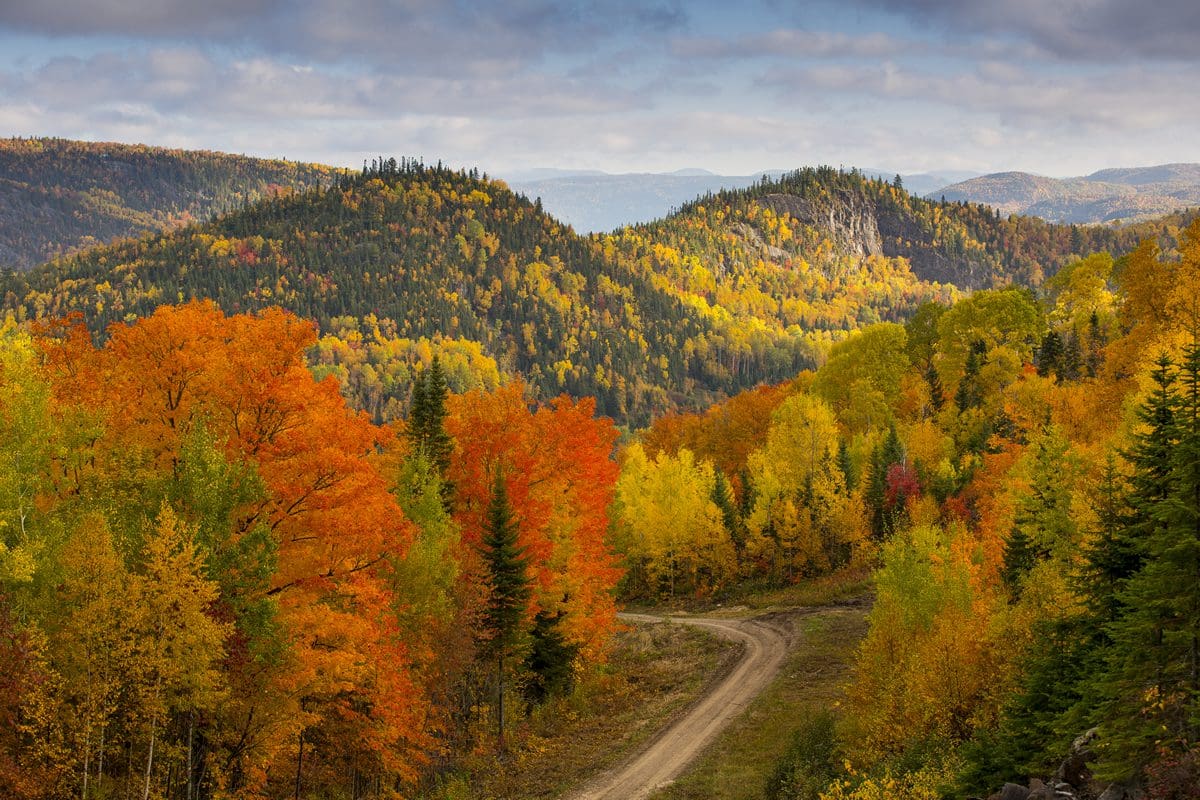 Autumn colours of Saguenay Lac Saint Jean - Quebec Tourism/Mathieu Dupuis