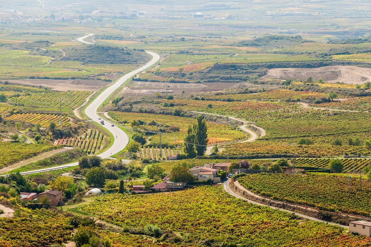 Countryside with vineyards around Laguardia Village, Northern Spain