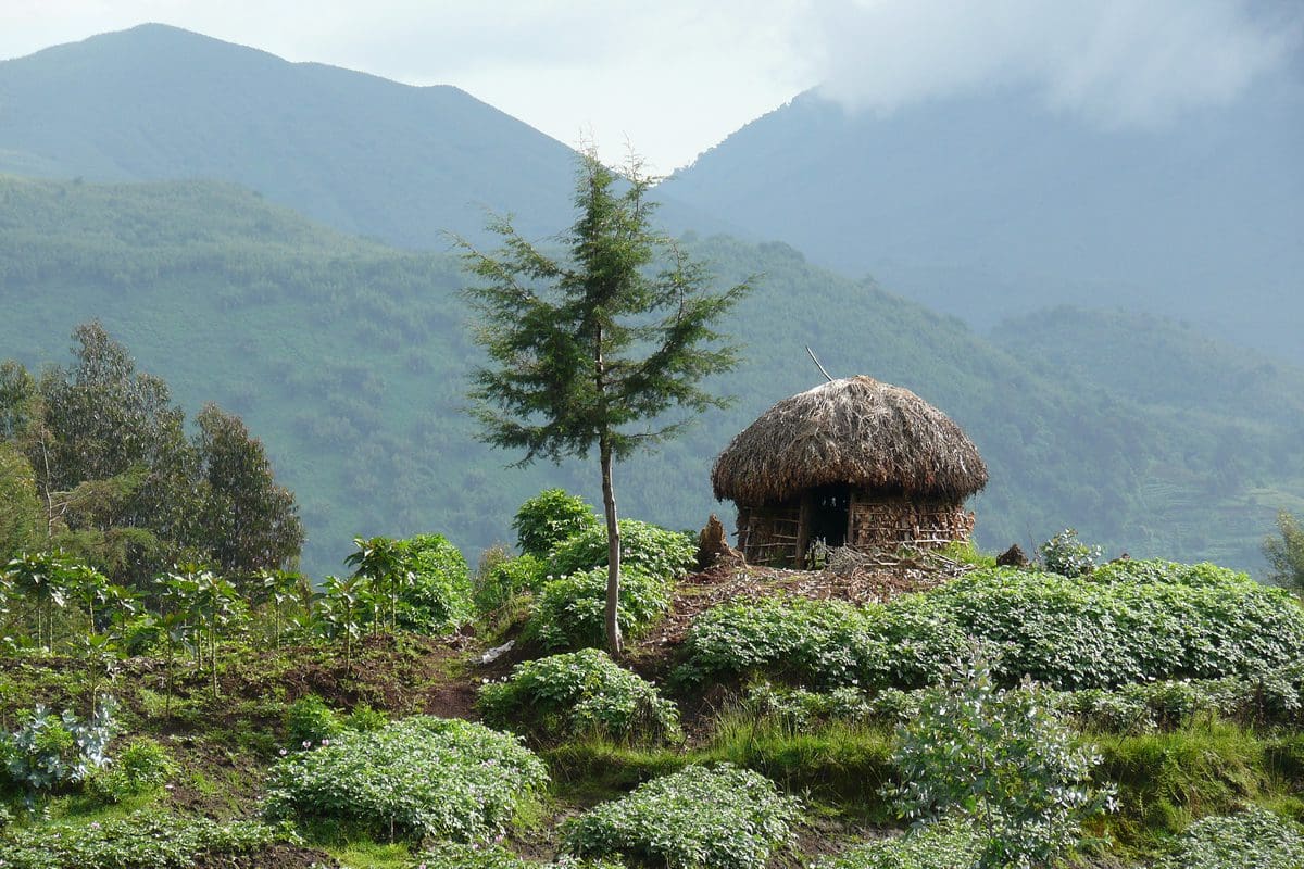 Small Rwandan dwelling