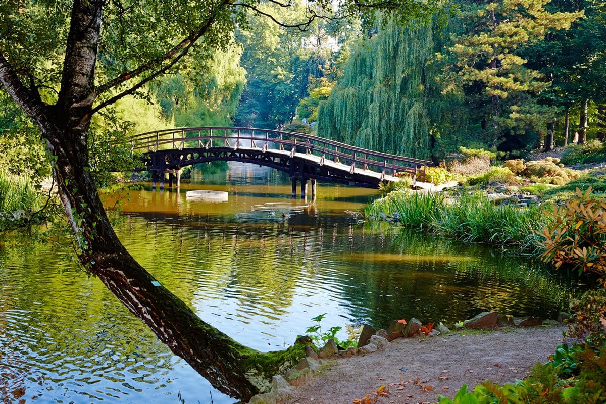 Botanical garden in Wroclaw, Poland