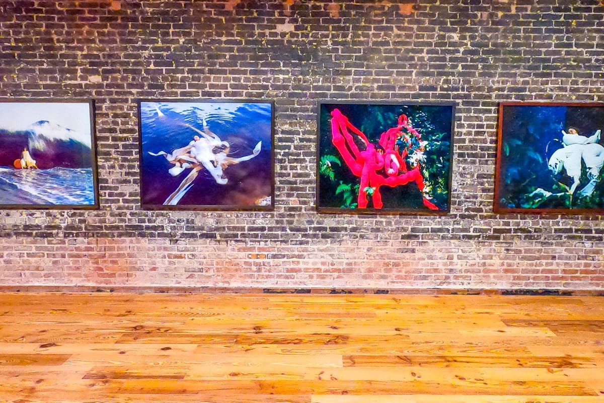 Sarasota Art Museum - Adam Cellini/Visit Sarasota County