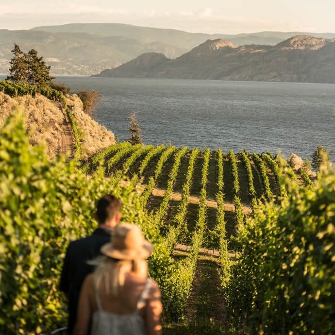 Couple at Evolve Cellars Vineyard, Okanagan Lake - Destination BC/Kari Medig