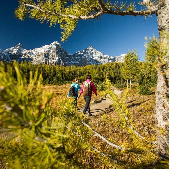Hiking Larch Valley and Sentinel Pass - Banff & Lake Louise Tourism/Paul Zizka