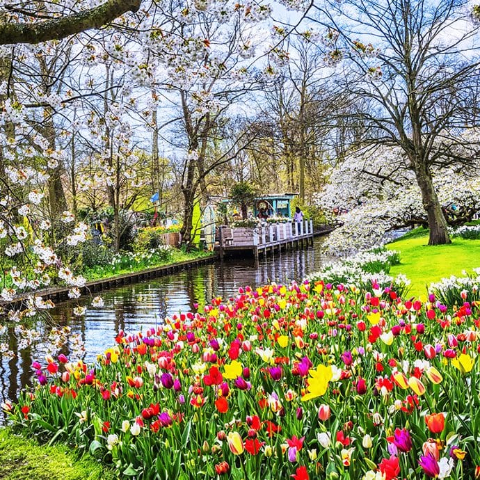 Keukenhof Park near Amsterdam Keukenhof Park near Amsterdam