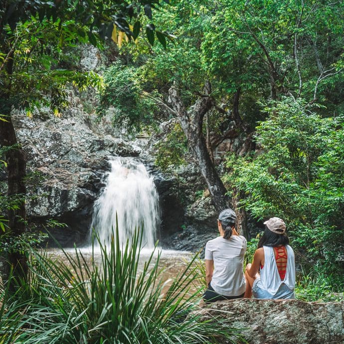 Kondalilla National Park - Tourism and Events Queensland