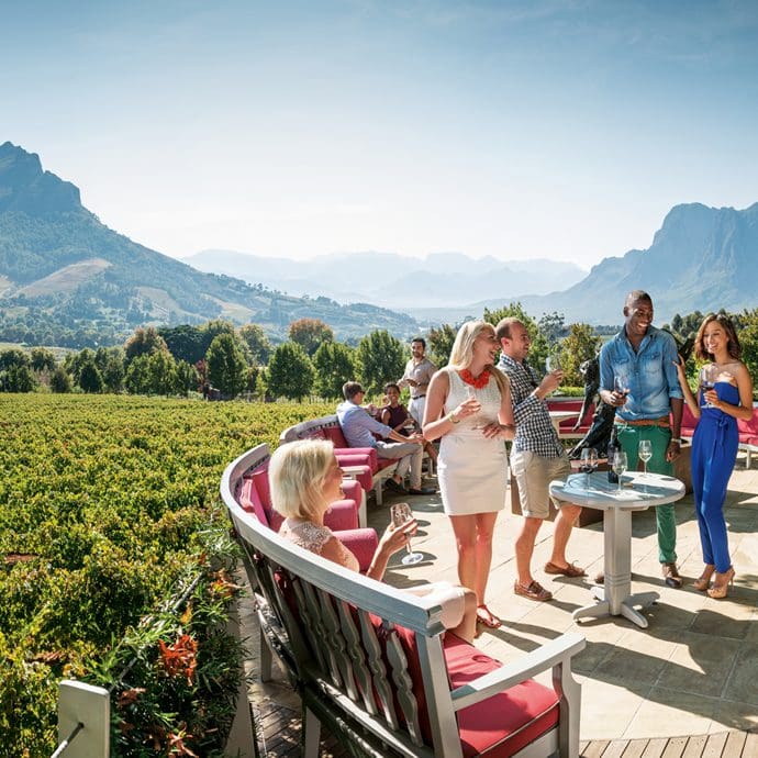 Group experiencing a vineyard in the Western Cape Winelands - South Africa Tourism